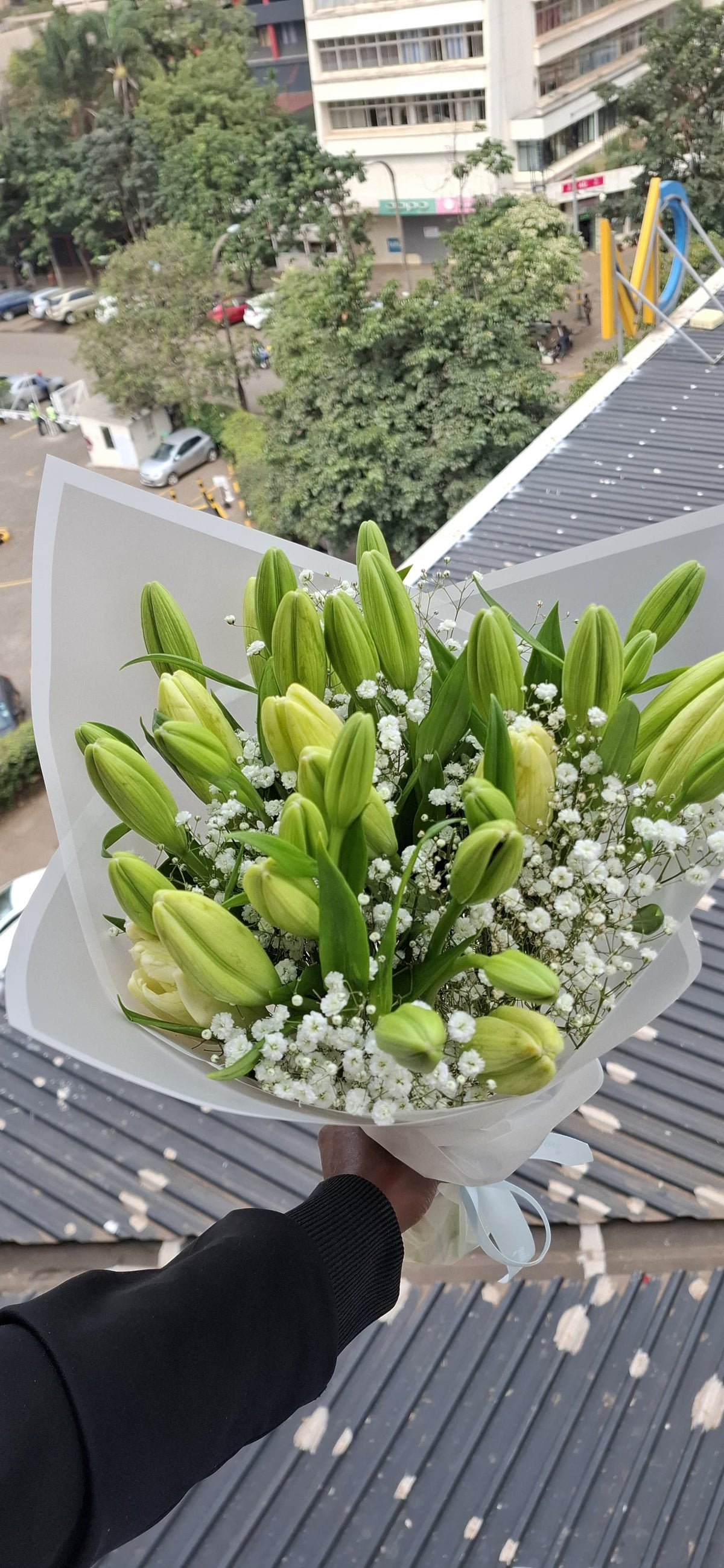 LILY MONDAY