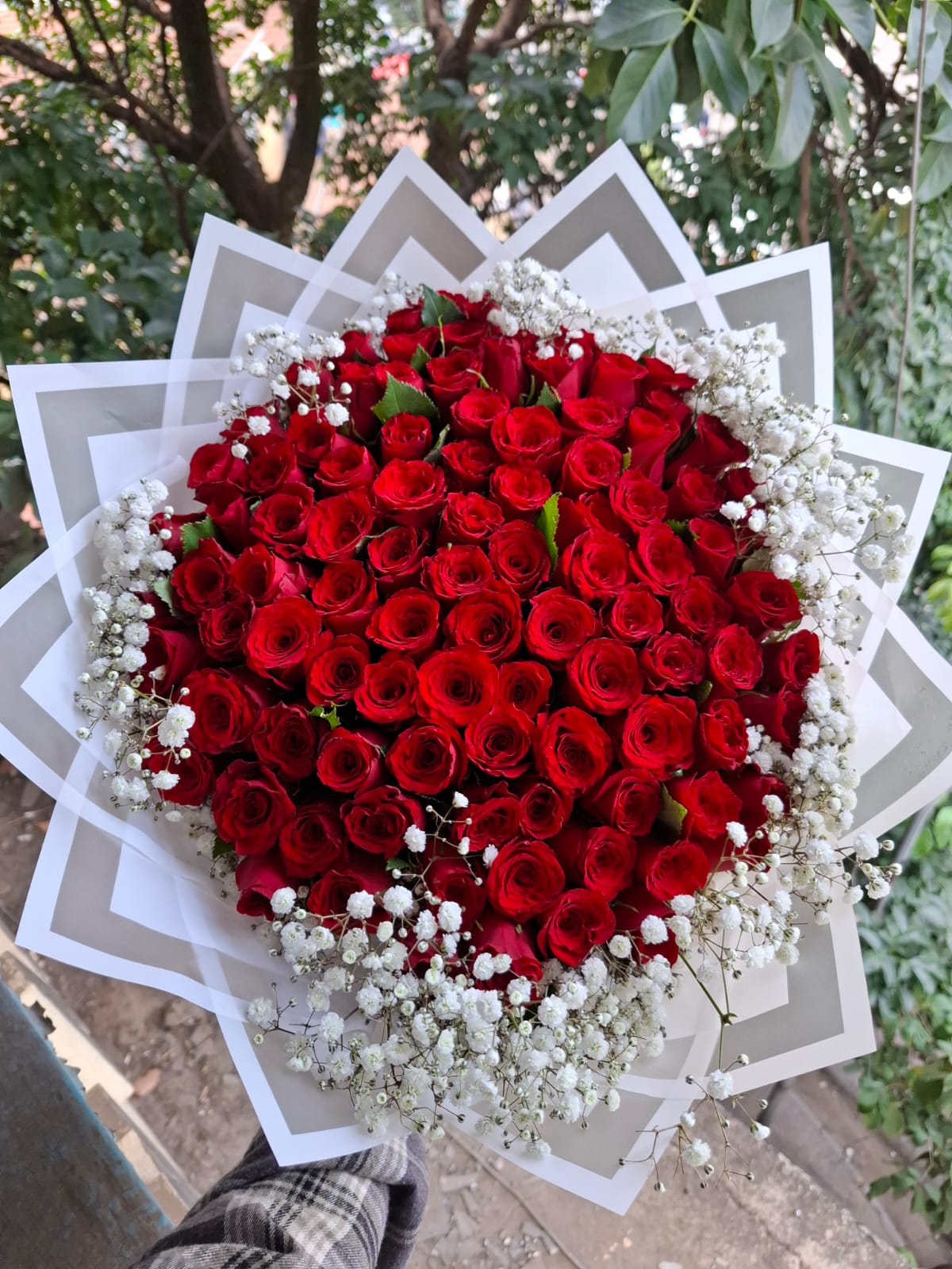 100 RED REASONS