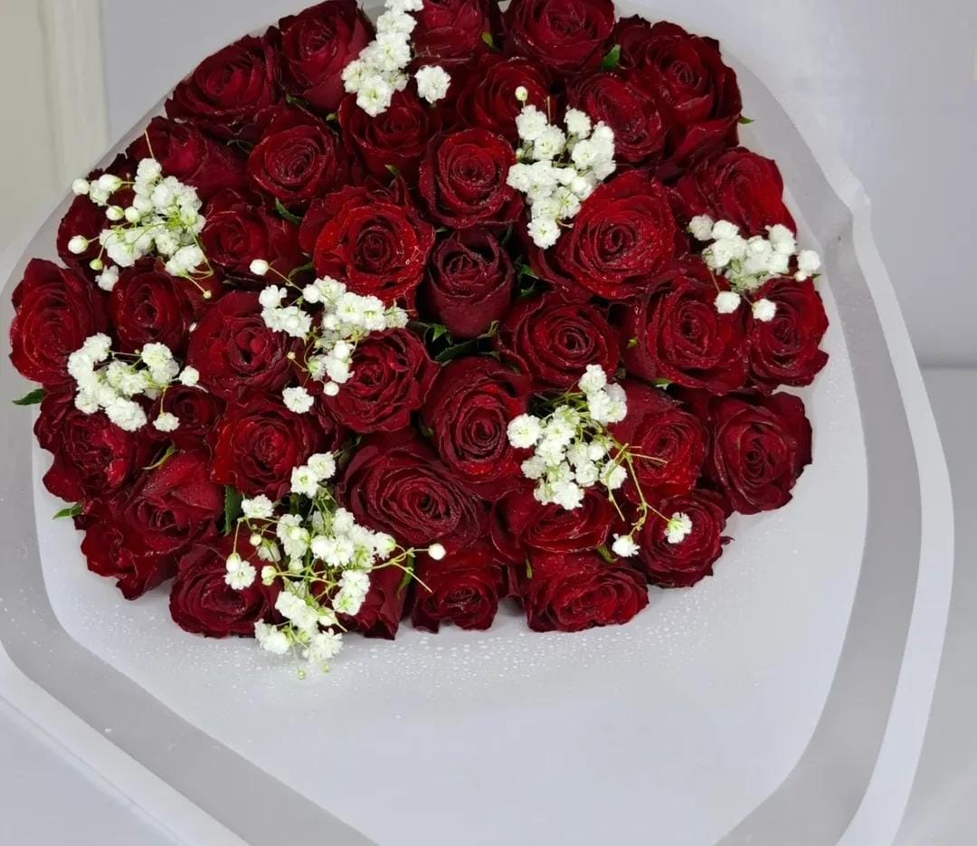 LUXY RED