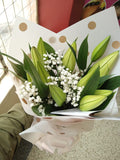 IMG-20230913-WA0028