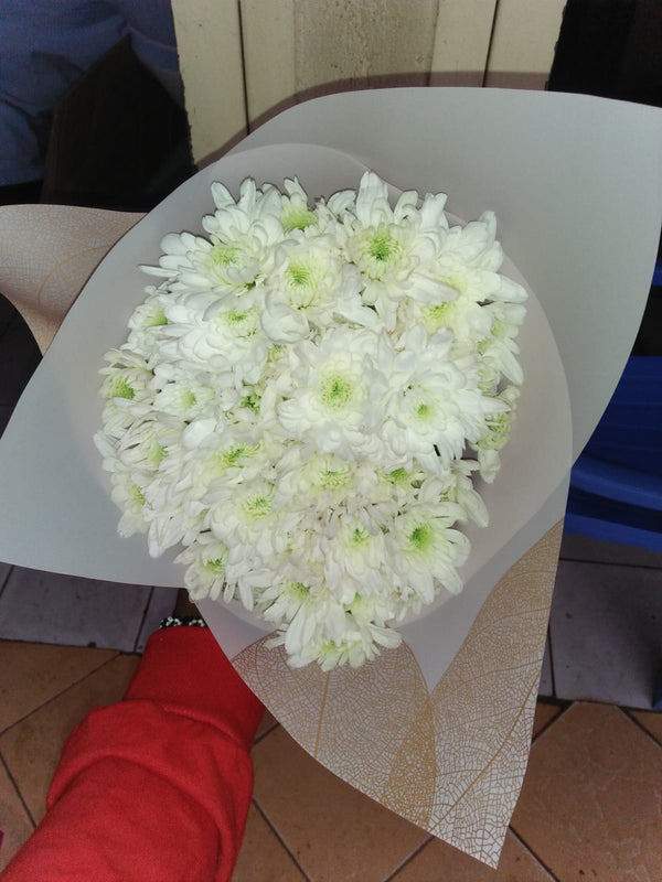 IMG-20230913-WA0020