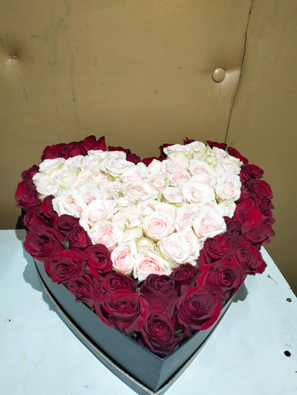 IMG-20230913-WA0023
