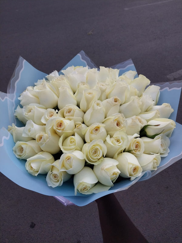 IMG-20230913-WA0019