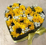 IMG-20230914-WA0021
