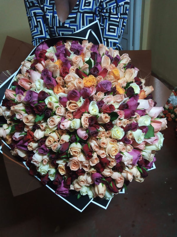 IMG-20230914-WA0031