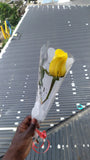 SINGLE YELLOW ROSE