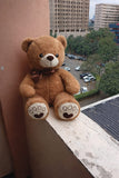 60 CM BROWN TEDDY BEAR