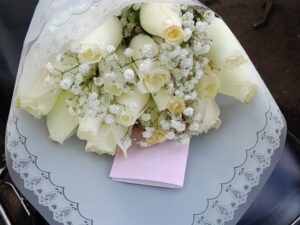 WHITE LITTLE BEAUTIES