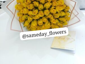 50 BRILLIANT SUNSHINES