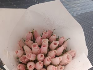 30 BLUSH PINK ROSES