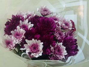 MINI CHRYSANTHEMUMS CUTIE