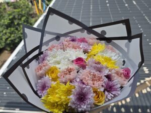 CARNATIONS, MUMS & ROSES BOUQUET